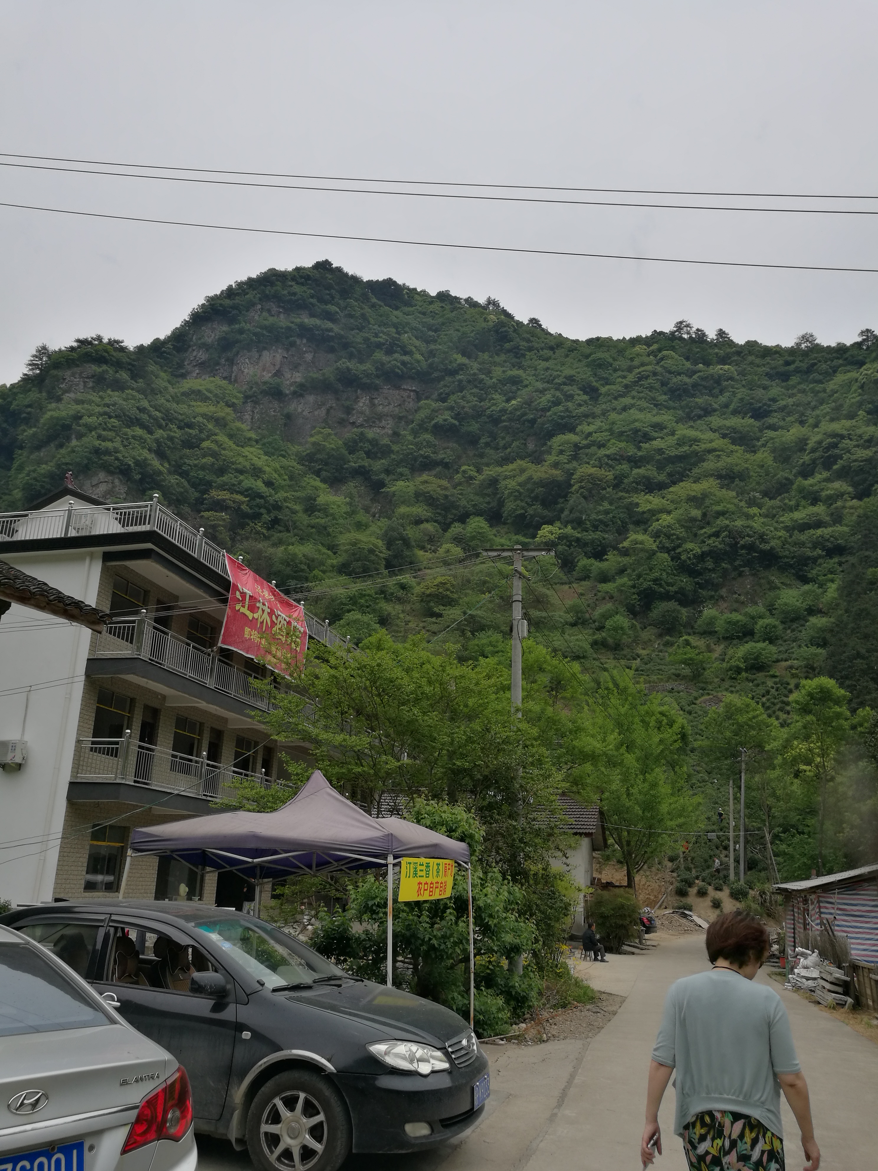汀溪兰香 - 泊山客 - 欢欢家庭博客