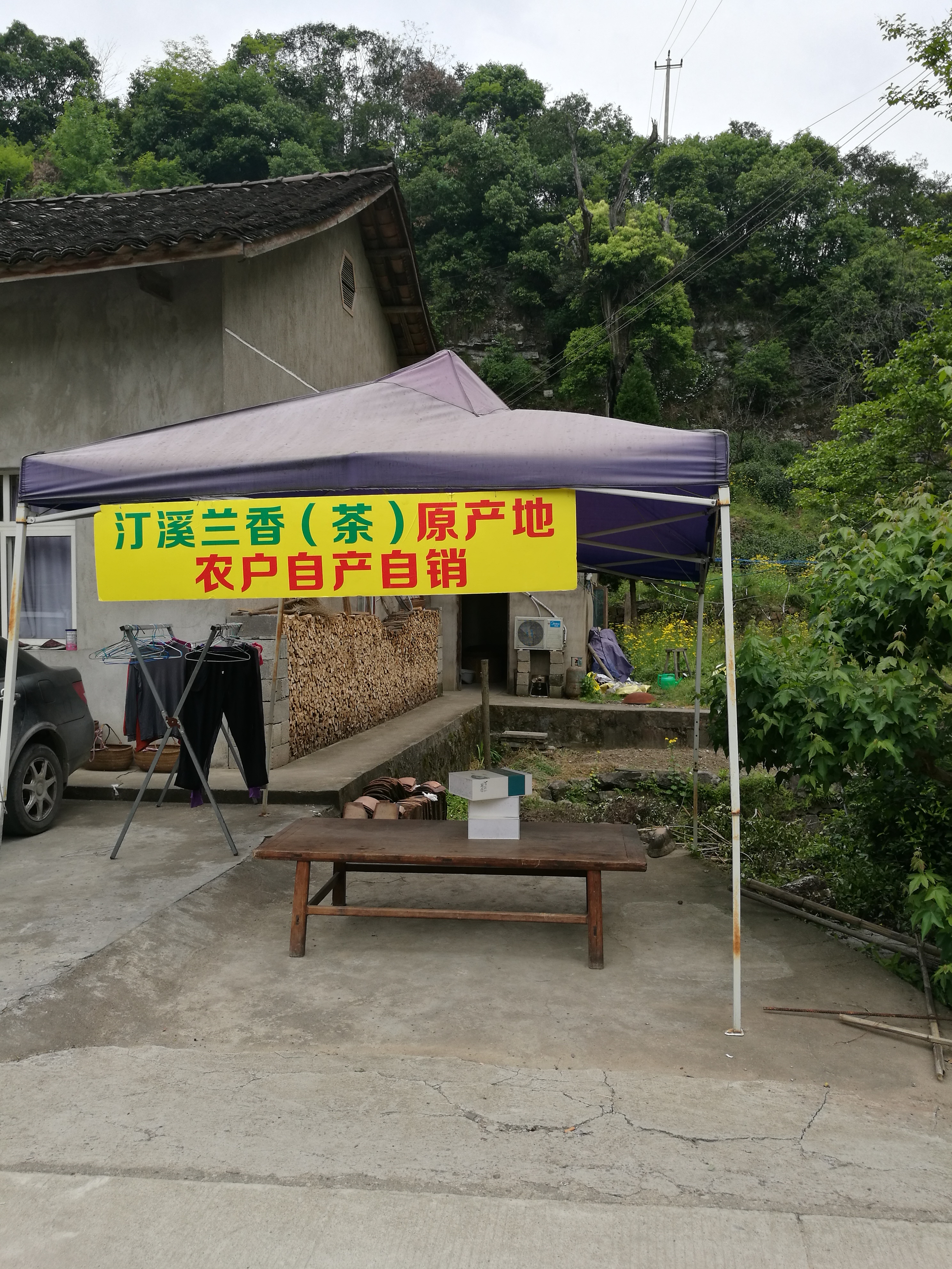 汀溪兰香 - 泊山客 - 欢欢家庭博客