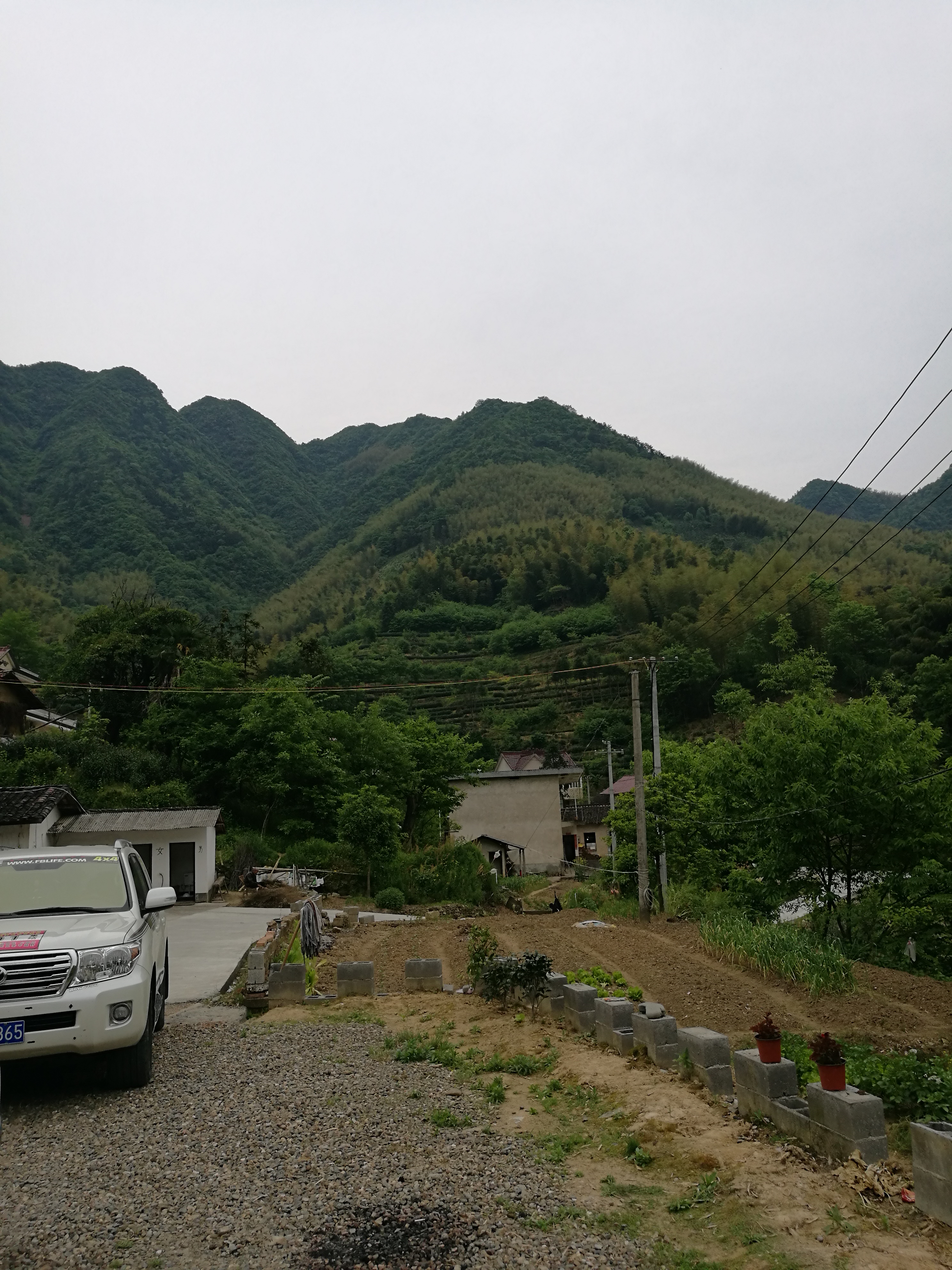 汀溪兰香 - 泊山客 - 欢欢家庭博客