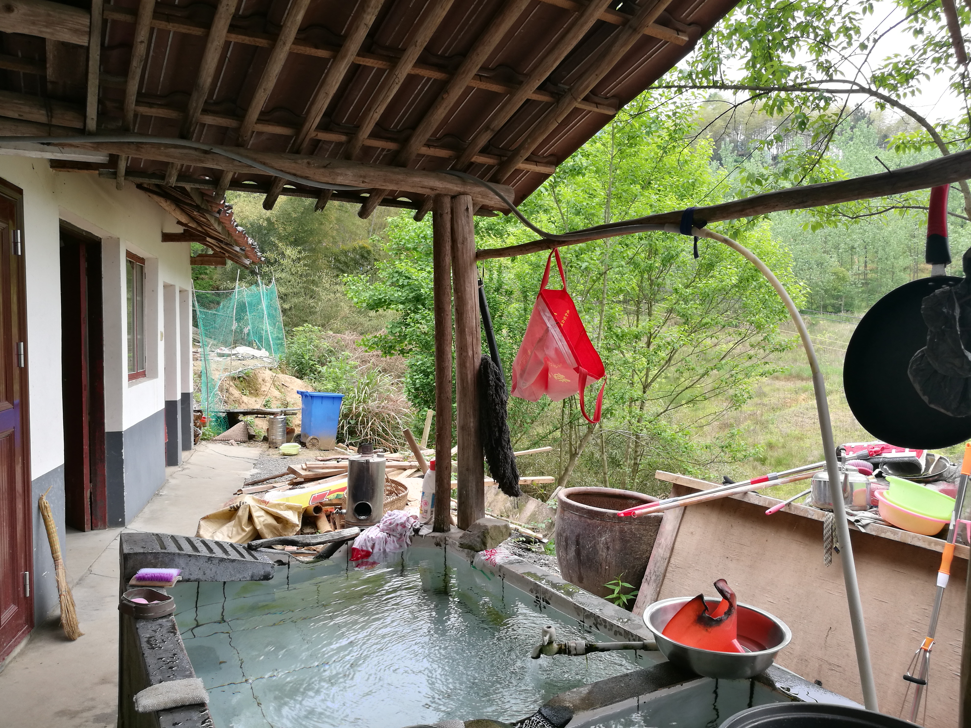 汀溪兰香 - 泊山客 - 欢欢家庭博客
