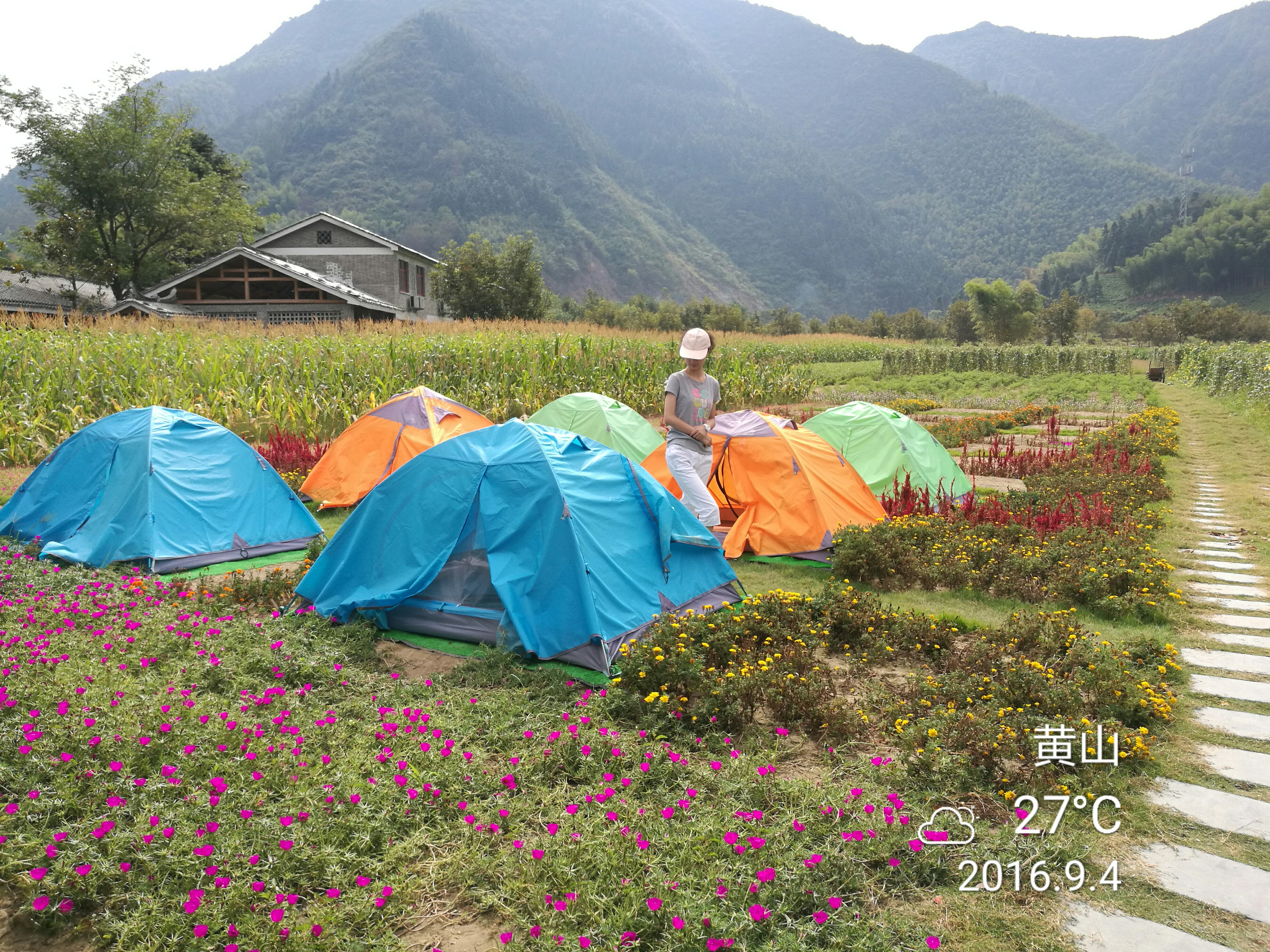 杨家寨 - 泊山客 - 欢欢家庭博客