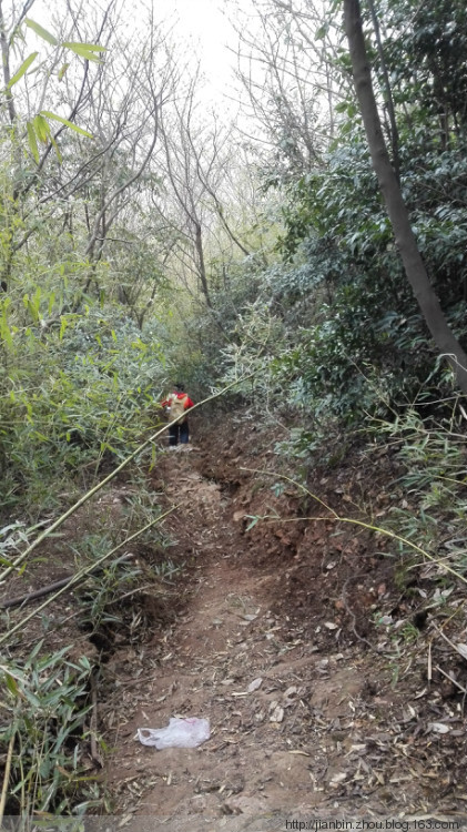 爬清凉峰 - 泊山客 - 欢欢家庭博客