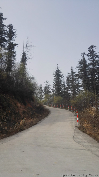 登叶山 - 泊山客 - 欢欢家庭博客