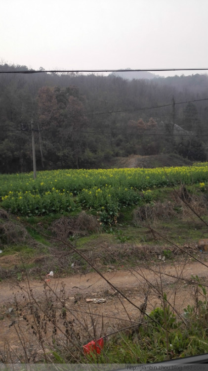 搜索三公山 - 泊山客 - 欢欢家庭博客
