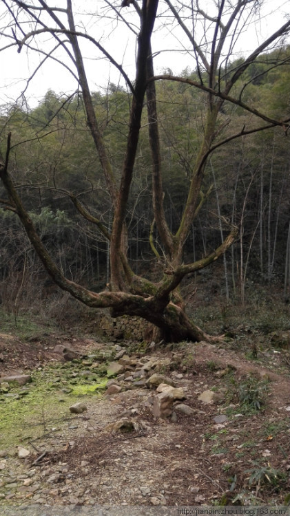 这山望着那山高---登天门山顶峰 - 泊山客 - 欢欢家庭博客