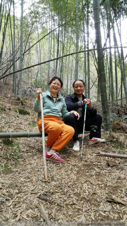 这山望着那山高---登天门山顶峰 - 泊山客 - 欢欢家庭博客