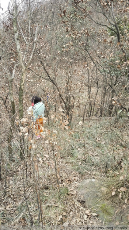这山望着那山高---登天门山顶峰 - 泊山客 - 欢欢家庭博客