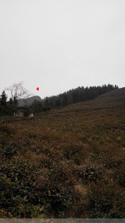 这山望着那山高---登天门山顶峰 - 泊山客 - 欢欢家庭博客