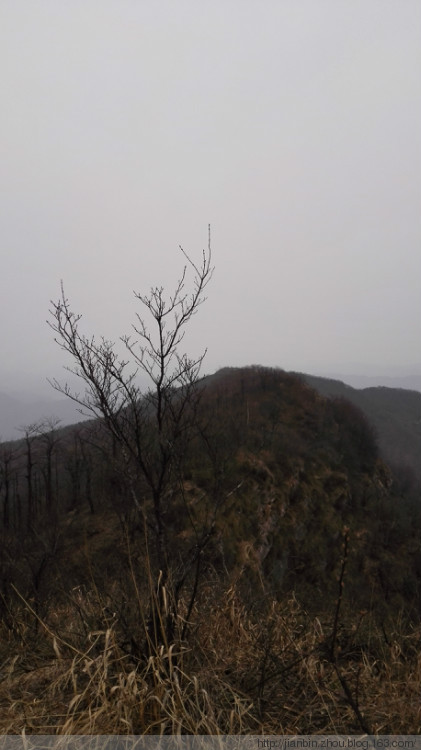 这山望着那山高---登天门山顶峰 - 泊山客 - 欢欢家庭博客