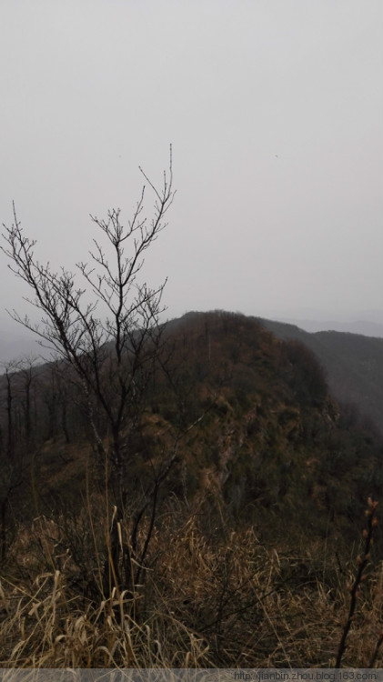 这山望着那山高---登天门山顶峰 - 泊山客 - 欢欢家庭博客