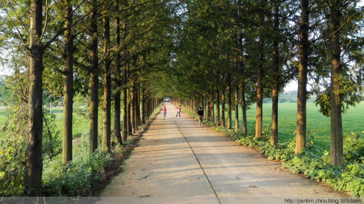 第一村 - 泊山客 - 欢欢家庭博客