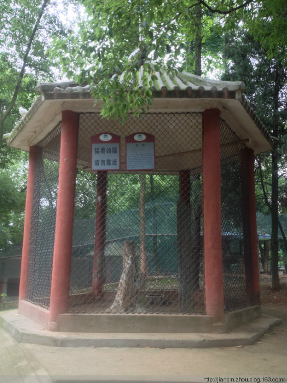 欢欢的六一 - 泊山客 - 欢欢家庭博客 欢欢的六一 - 泊山客 - 欢欢家庭博客