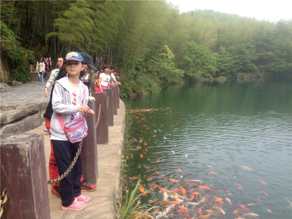 黄山芙蓉谷 - 顺其自然 - 欢欢家庭博客 黄山芙蓉谷 - 顺其自然 - 欢欢家庭博客