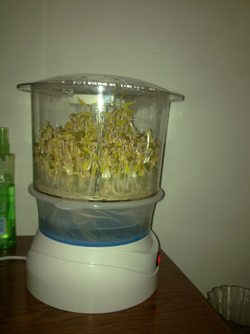 豆芽机 - 顺其自然 - 欢欢家庭博客 豆芽机 - 顺其自然 - 欢欢家庭博客