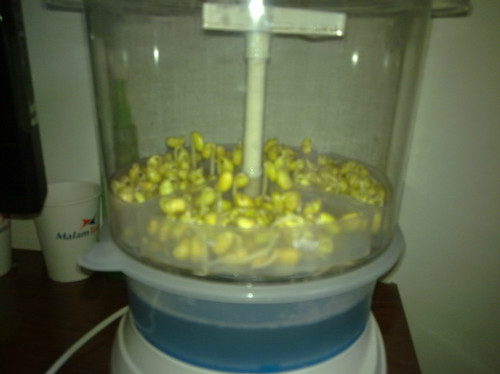 豆芽机 - 顺其自然 - 欢欢家庭博客 豆芽机 - 顺其自然 - 欢欢家庭博客
