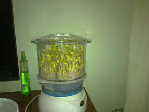 豆芽机 - 顺其自然 - 欢欢家庭博客 豆芽机 - 顺其自然 - 欢欢家庭博客