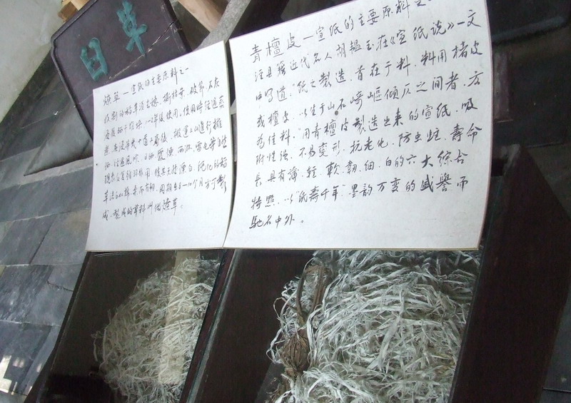 泾县之行 3 - 顺其自然 - 欢欢家庭博客 泾县之行 3 - 顺其自然 - 欢欢家庭博客