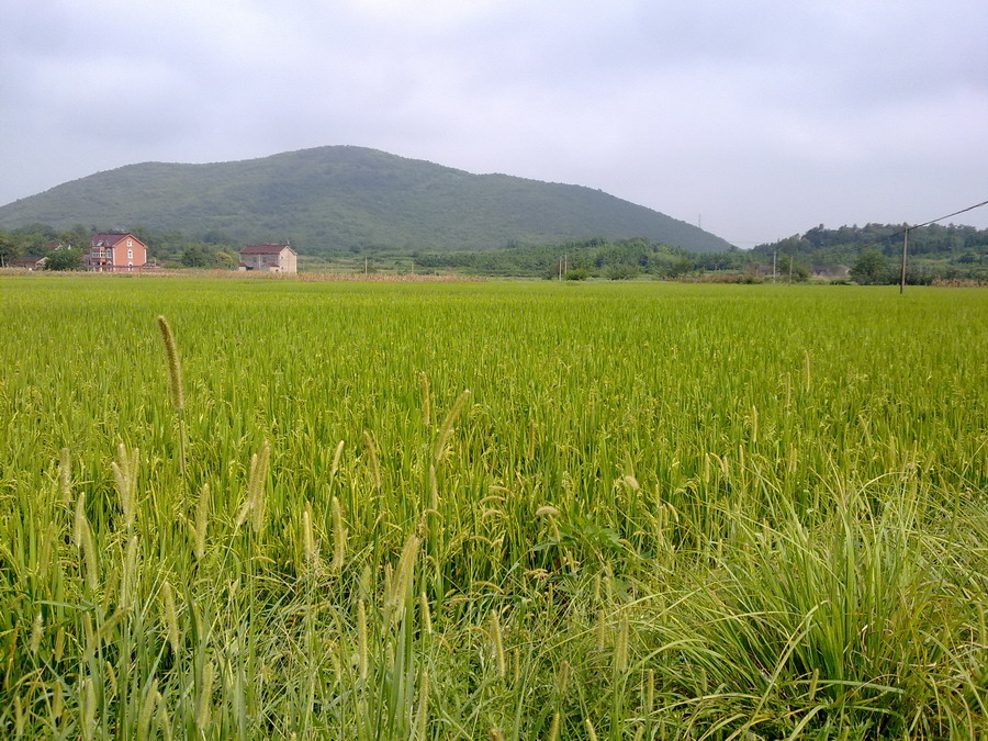 泾县之行 1 - 顺其自然 - 欢欢家庭博客 泾县之行 1 - 顺其自然 - 欢欢家庭博客