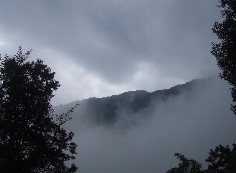 雾中雨中登黄山 - 顺其自然 - 欢欢家庭博客 雾中雨中登黄山 - 顺其自然 - 欢欢家庭博客