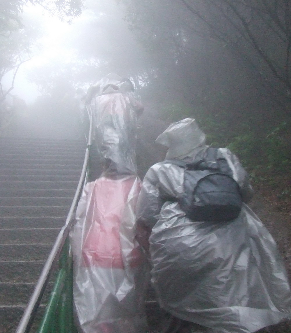 雾中雨中登黄山 - 顺其自然 - 欢欢家庭博客 雾中雨中登黄山 - 顺其自然 - 欢欢家庭博客
