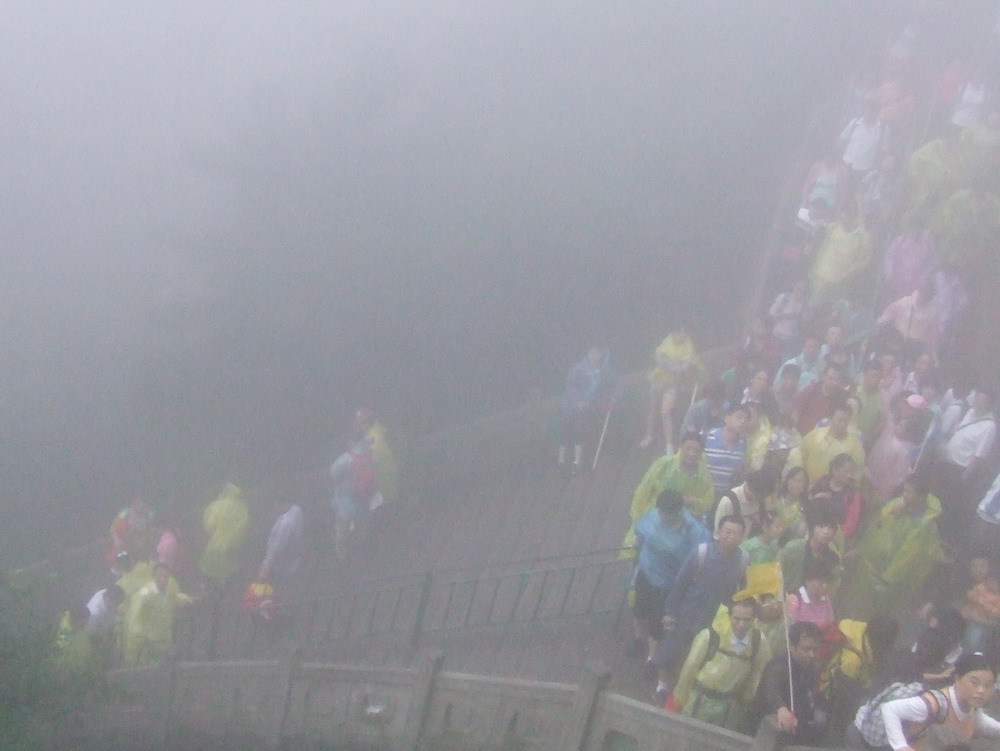 雾中雨中登黄山 - 顺其自然 - 欢欢家庭博客 雾中雨中登黄山 - 顺其自然 - 欢欢家庭博客